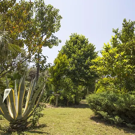 홀리데이파크 Kizilbuk Ahsap Evleri 닷차