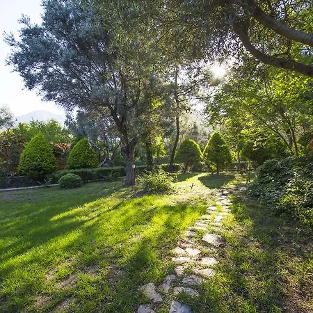 منتزه العطل Kizilbuk Ahsap Evleri داتْشا