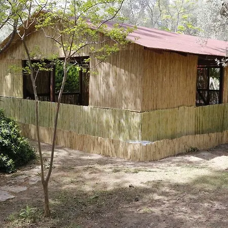 홀리데이파크 Kizilbuk Ahsap Evleri 닷차