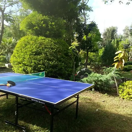 Kizilbuk Ahsap Evleri