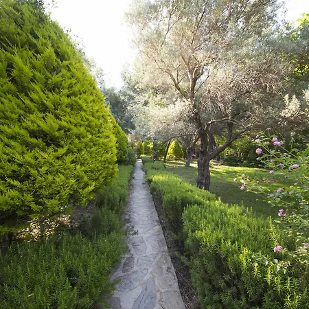 Kizilbuk Ahsap Evleri 홀리데이파크