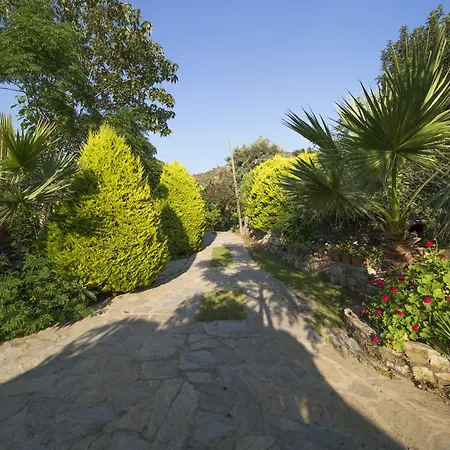 منتزه العطل Kizilbuk Ahsap Evleri